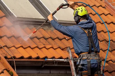 Démoussage et hydrofuge de toiture à Chapelle-Saint-Laud